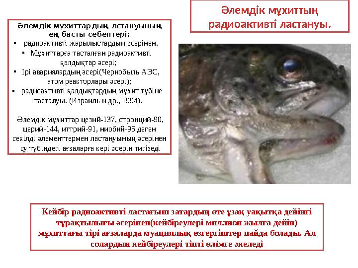 Әлемдік мұхиттардың лстануының ең басты себептері: • радиоактивті жарылыстардың әсерінен . • Мұхиттарға тасталған радиоактив