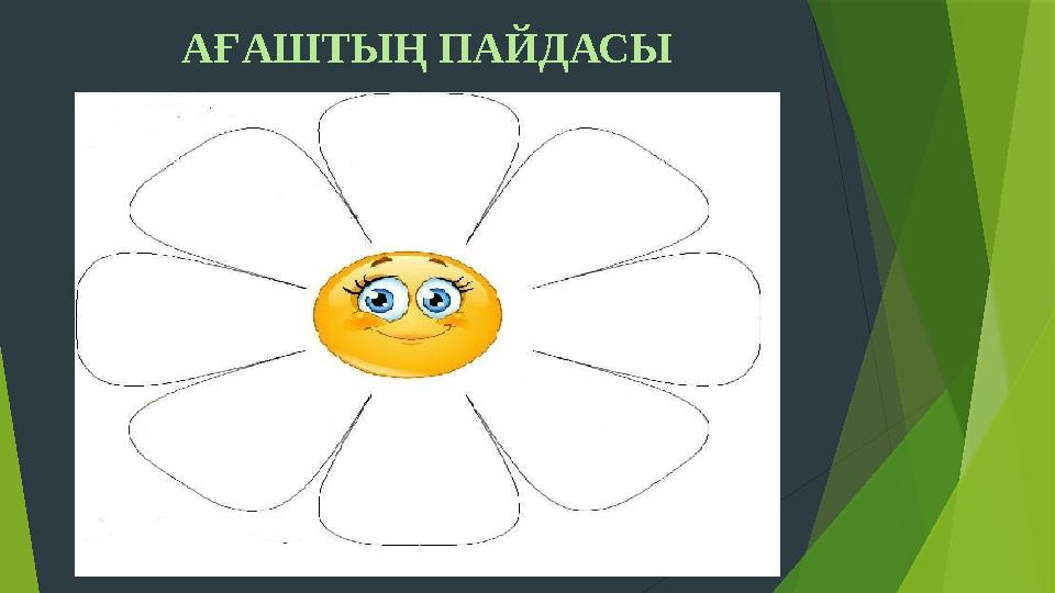 Жыныстық қатынас туралы онлайн нұсқаулық