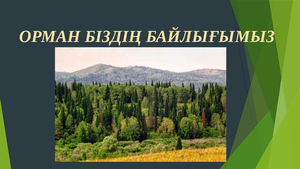 ОРМАН БІЗДІҢ БАЙЛЫҒЫМЫЗ