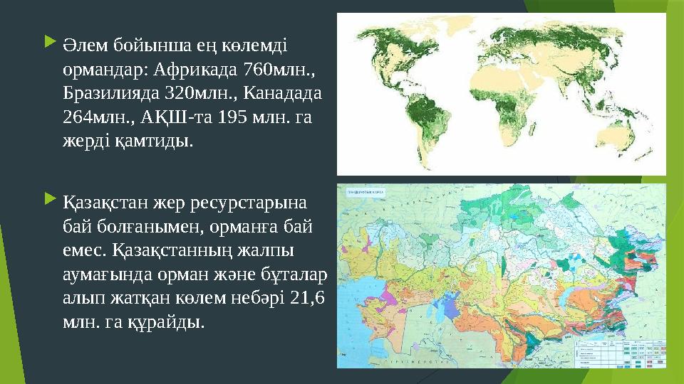  Әлем бойынша ең көлемді ормандар: Африкада 760млн., Бразилияда 320млн., Канадада 264млн., АҚШ-та 195 млн. га жерді қамтиды