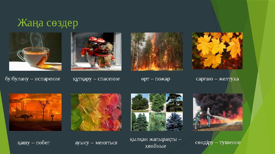 Жаңа сөздер бу / булану – испарение құтқару – спасение өрт – пожар сарғаю – желтуха қашу – побег ауысу – меняться қы
