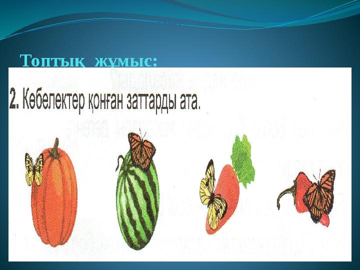Топтық жұмыс: