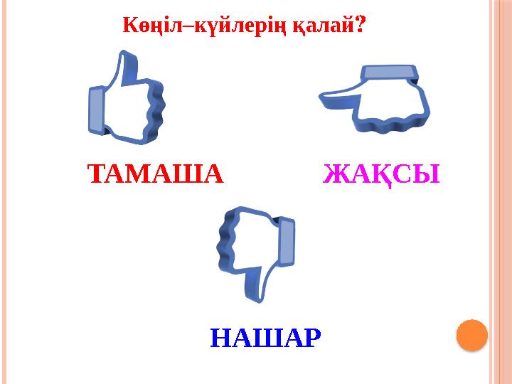 ТАМАША ЖАҚСЫ Көңіл–күй лерің қалай ? НАШАР