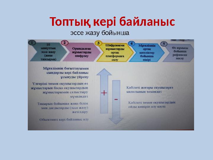 Топт ық кері байланыс эссе жазу бойынша