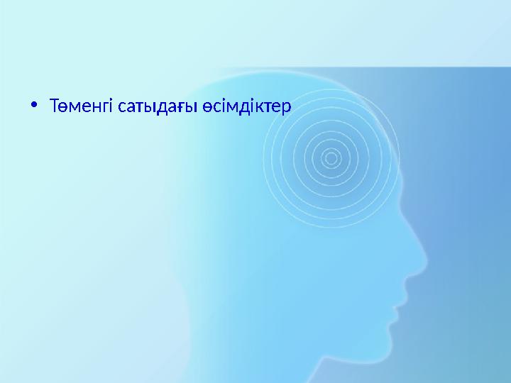 • Төменгі сатыдағы өсімдіктер