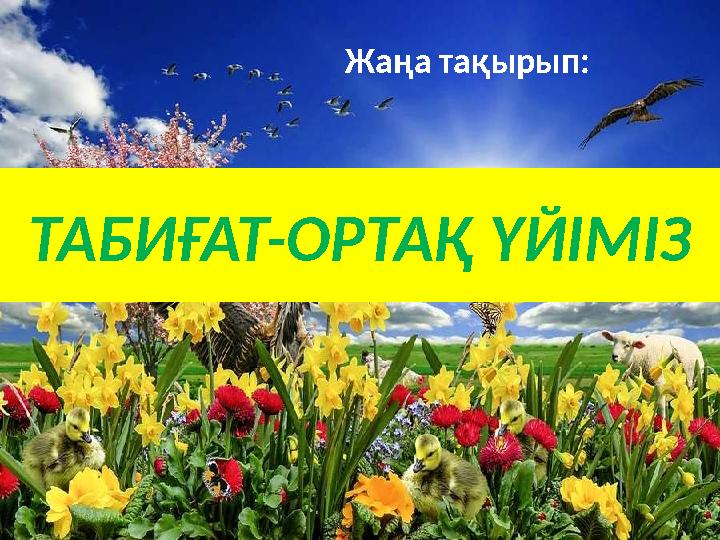 ТАБИҒАТ-ОРТАҚ ҮЙІМІЗ Жаңа тақырып: