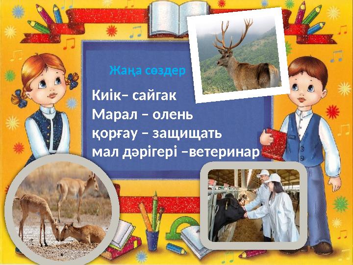 Жаңа сөздер Киік– сайгак Марал – олень қорғау – защищать мал дәрігері –ветеринар