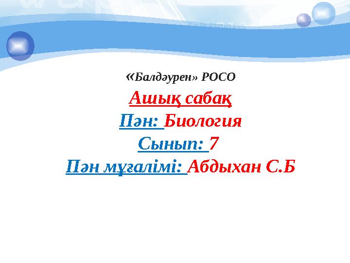 Маша Мишаның жұлын сорып жатыр