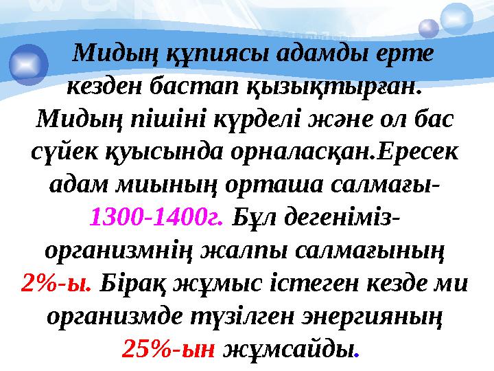 Мидың құпиясы адамды ерте кезден бастап қызықтырған. Мидың пішіні күрделі және ол бас сүйек қуысында орналасқан.Ересек а