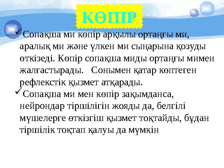  Сопақша ми көпір арқылы ортаңғы ми, аралық ми және үлкен ми сыңарына қозуды өткізеді. Көпір сопақша миды ортаңғы мимен жалғ