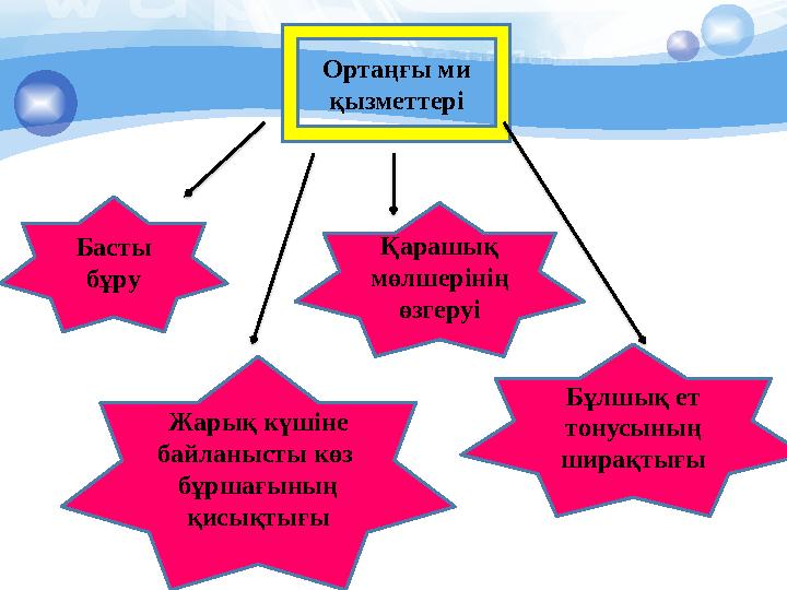 Ортаңғы ми қызметтері Басты бұру Жарық күшіне байланысты көз бұршағының қисықтығы Қарашық мөлшерінің өзгеруі Бұлшық ет