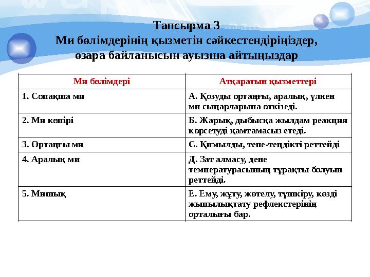 Тапсырма 3 Ми бөлімдерінің қызметін сәйкестендіріңіздер, өзара байланысын ауызша айтыңыздар Ми бөлімдері Атқаратын қызметтері 1