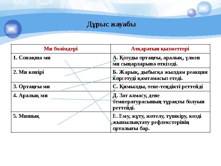 Дұрыс жауабы Ми бөлімдері Атқаратын қызметтері 1. Сопақша ми А. Қозуды ортаңғы, аралық, үлкен ми сыңарларына өткізеді. 2. Ми кө