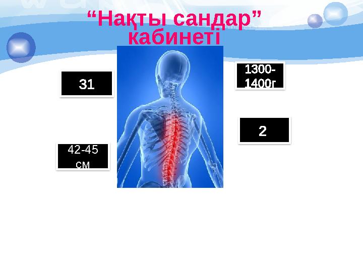 “ Нақты сандар” кабинеті 31 2 42-45 см 1300- 1400г