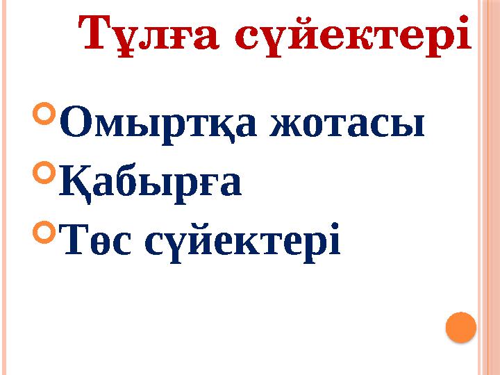  Омыртқа жотасы  Қабырға  Төс сүйектері Тұлға сүйектері