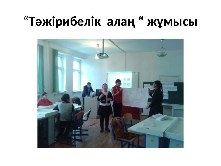 “ Тәжірибелік алаң “ жұмысы