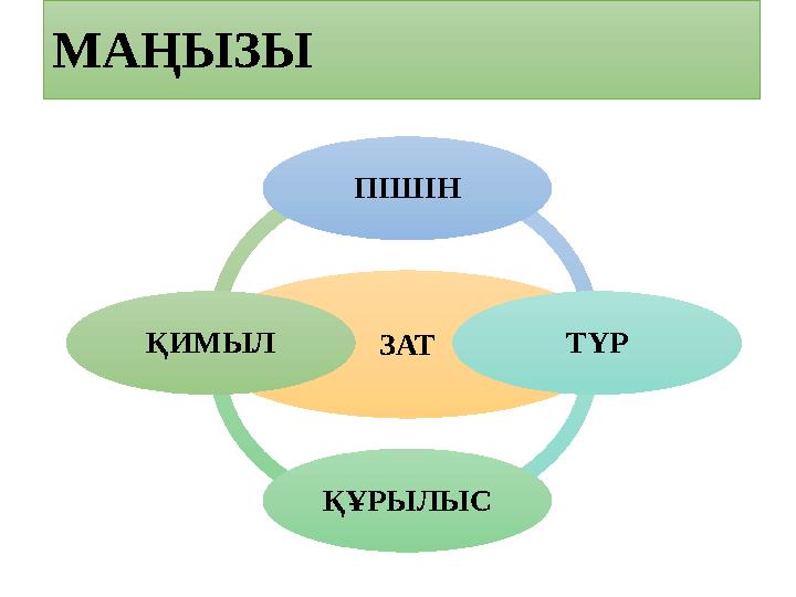 МАҢЫЗЫ ЗАТПІШІН ТҮР ҚҰРЫЛЫСҚИМЫЛ