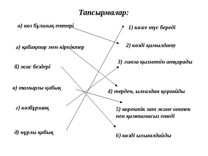 Тапсырмалар: а) көз бұлшық еттері 2) көзді қимылдату ә) қабақтар мен кірпіктер б) жас бездері в) тамырлы қабық г) көзбұршақ д