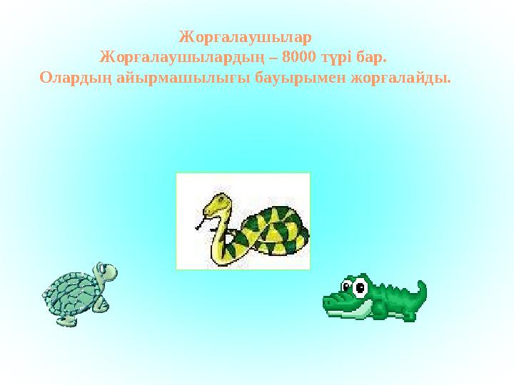 Жорғалаушылар Жорғалаушылардың – 8000 түрі бар . Олардың айырмашылығы бауырымен жорғалайды .