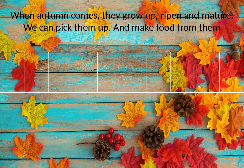 When autumn comes, they grow up, ripen and mature. We can pick them up. And make food from them