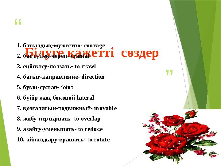 “ ”Білуге қажетті сөздер1. батылдық-мужество- courage 2. бас сүйек-череп- cranial 3. еңбектеу-ползать- to crawl 4. бағыт-направ