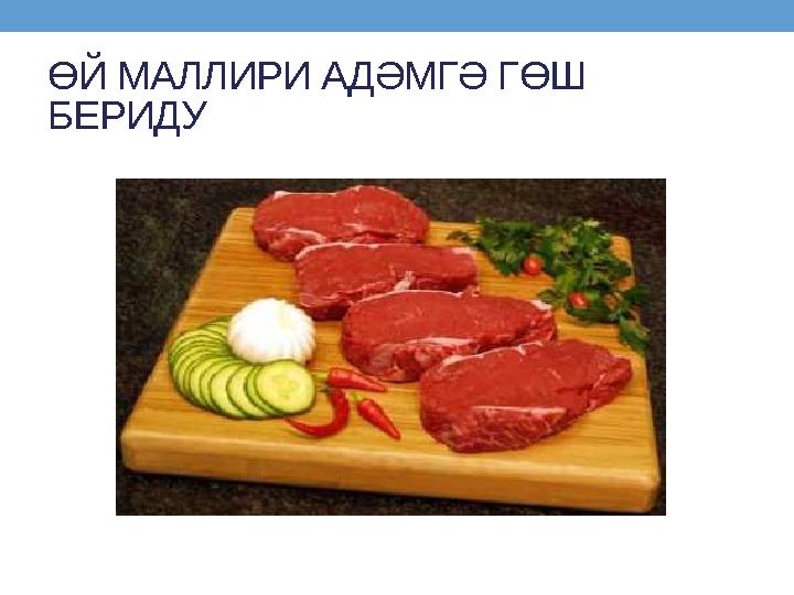 ӨЙ МАЛЛИРИ АДӘМГӘ ГӨШ БЕРИДУ