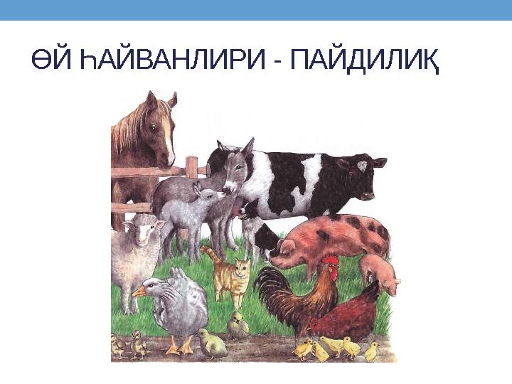 ӨЙ ҺАЙВАНЛИРИ - ПАЙДИЛИҚ