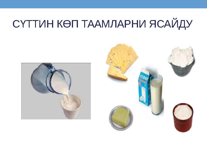 СҮТТИН КӨП ТААМЛАРНИ ЯСАЙДУ