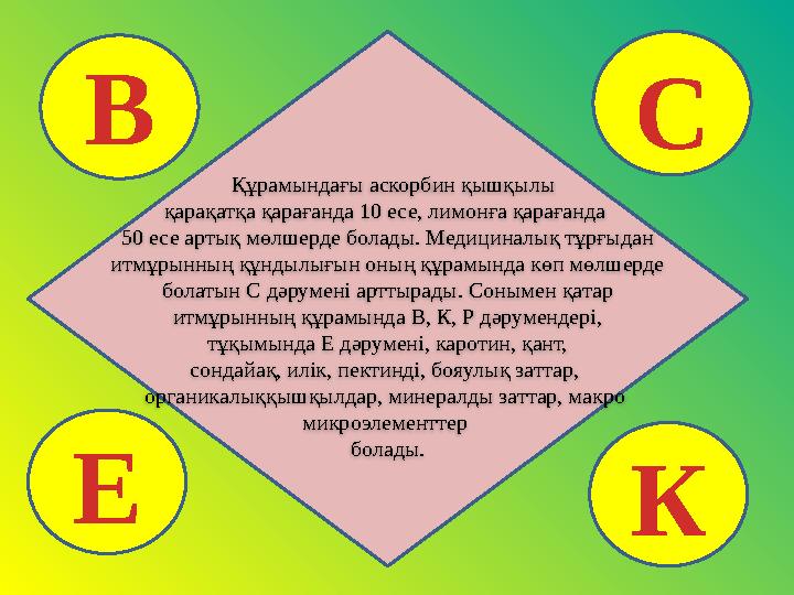 Құрамындағы аскорбин қышқылы қарақатқа қарағанда 10 есе, лимонға қарағанда 50 есе артық мөлшерде болады. Медициналық тұрғы