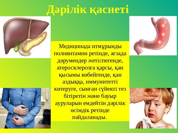 Медицинада итмұрынды поливитамин ретінде, ағзада дәрумендер жетіспегенде, атеросклерозға қарсы, қан қысымы көбейгенде, қан