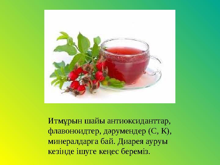 Итмұрын шайы антиоксиданттар, флавоноидтер, дәрумендер (С, К), минералдарға бай. Диарея ауруы кезінде ішуге кеңес береміз.