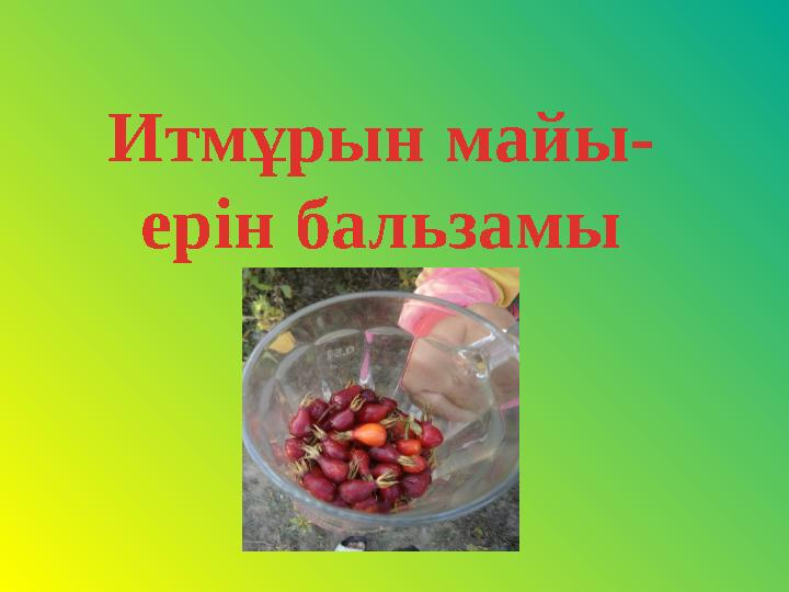 Итмұрын майы- ерін бальзамы