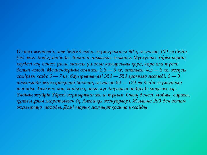Ол тез жетіледі, өте бейімделгіш, жұмыртқасы 90 г, жылына 100-ге дейін (екі жыл бойы) табады. Балапан шығымы жоғары. Мускусты Ү