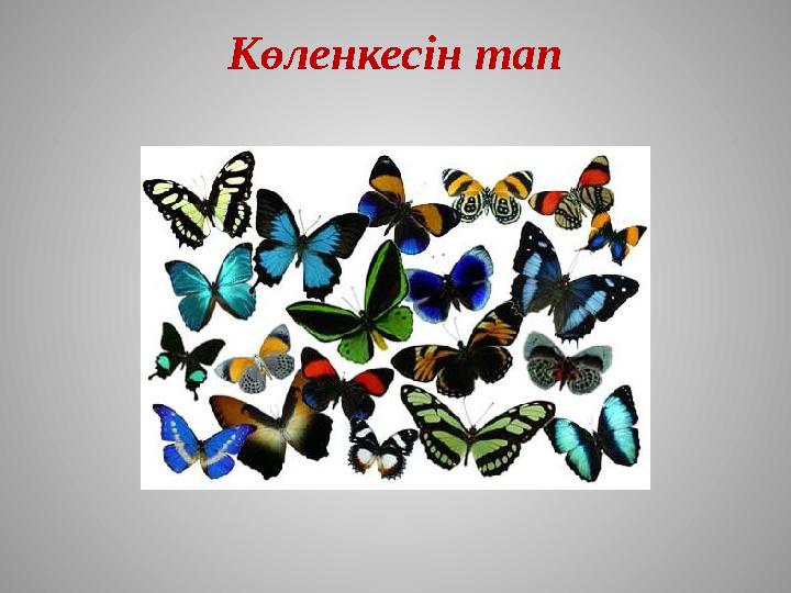 Көленкесін тап