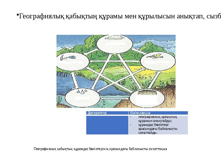 Дескриптор Білім алушы  географиялық қабықтың құрамын анықтайды;  құрамдас бөліктері арасындағы байланысты сипаттайды.•