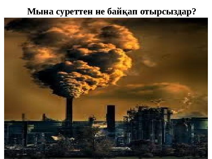 Мына суреттен не байқап отырсыздар?