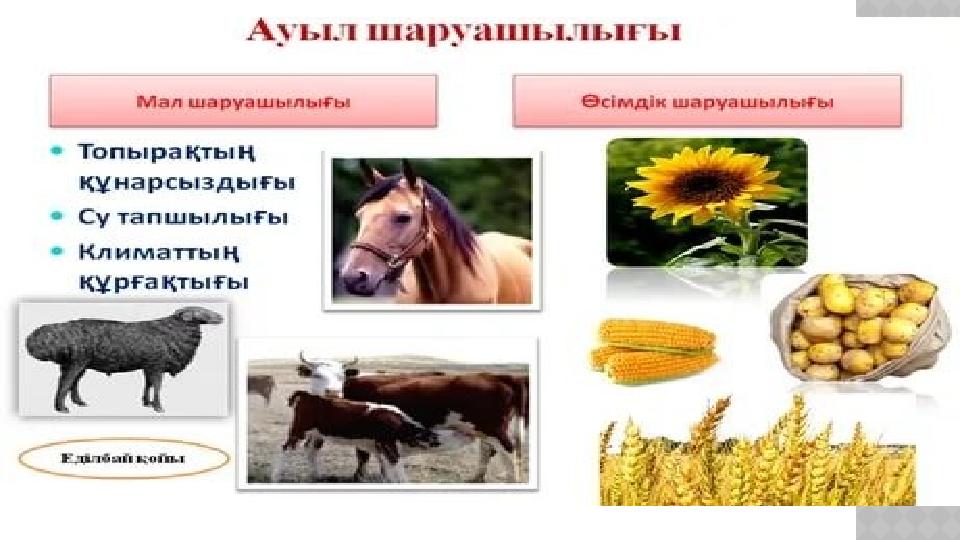 БҰЛ САБАҚТЫ ОҚЫП, МЕН… Білмеймін Білемін Түсінемін Түсінемін және қолдана аламын Басқа біреуді оқыта аламын