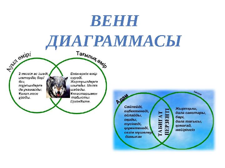 ВЕНН ДИАГРАММАСЫ