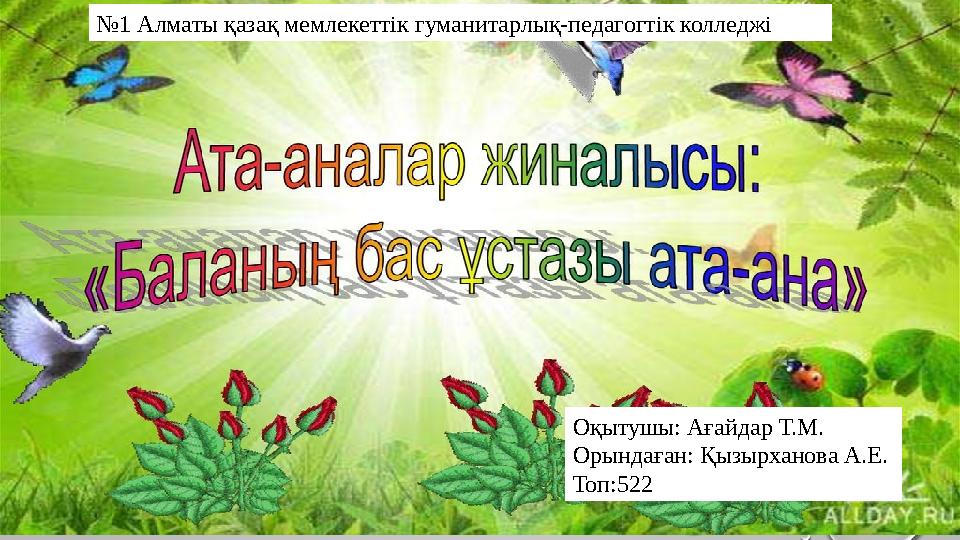 Траннидің мүшесін қалай соруға болады