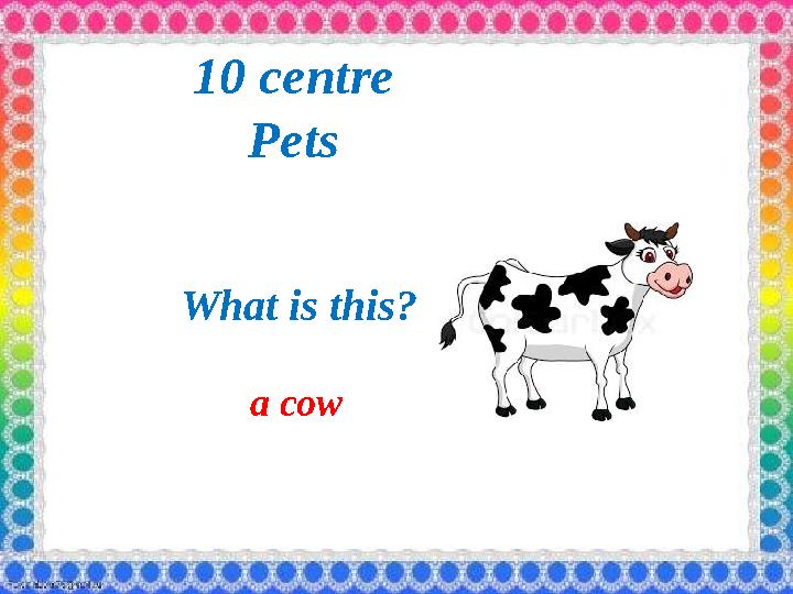 1 0 centre Pets What is this? a cow