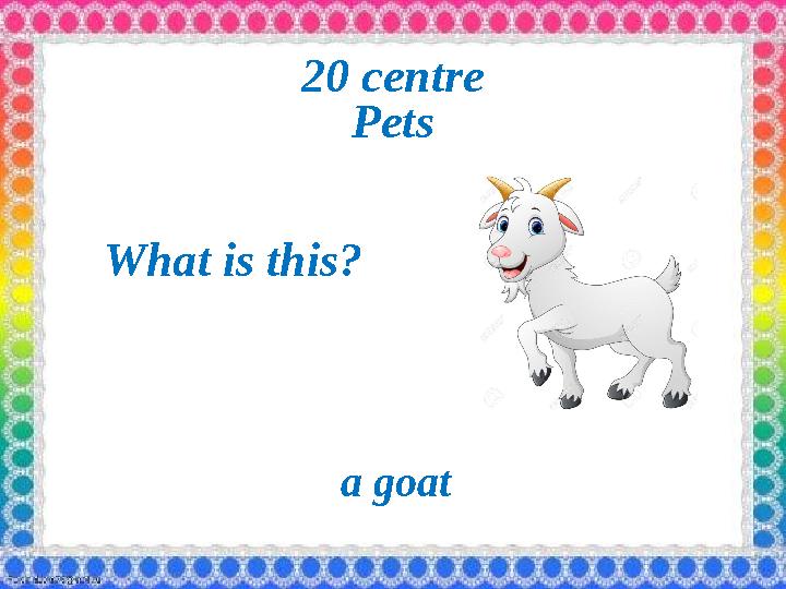2 0 centre Pets What is this? a goat