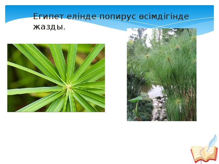 Египет елінде попирус өсімдігінде жазды.