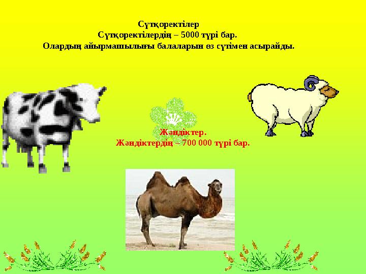Сүтқоректілер Сүтқоректілердің – 5000 түрі бар . Олардың айырмашылығы балаларын өз сүтімен асырайды . Жәндіктер . Жәндікте