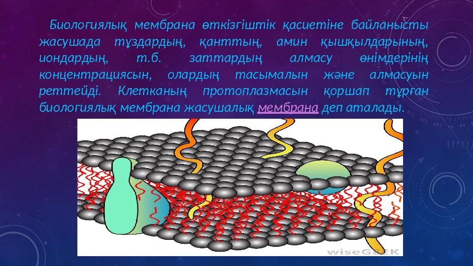 Биологиялық мембрана өткізгіштік қасиетіне байланысты жасушада тұздардың, қанттың, амин қышқылдарының, иондардың