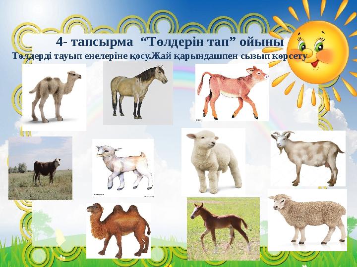 4- тапсырма “Төлдерін тап” ойыны Төлдерді тауып енелеріне қосу.Жай қарындашпен сызып көрсету