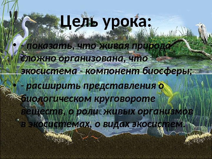 Цель урока: • - показать, что живая природа сложно организована, что экосистема - компонент биосферы; • - расширить представле