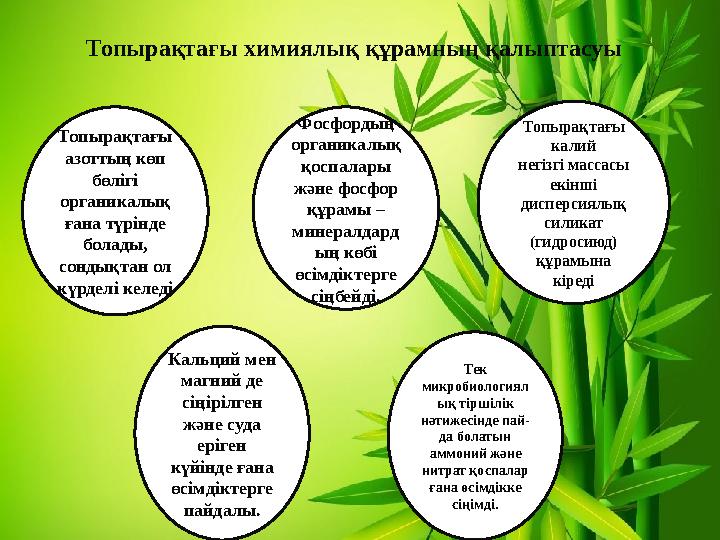 Топырақтағы химиялық құрамның қалыптасуы Топырақтағы азоттың көп бөлігі органикалық ғана түрінде болады, сондықтан ол күрд