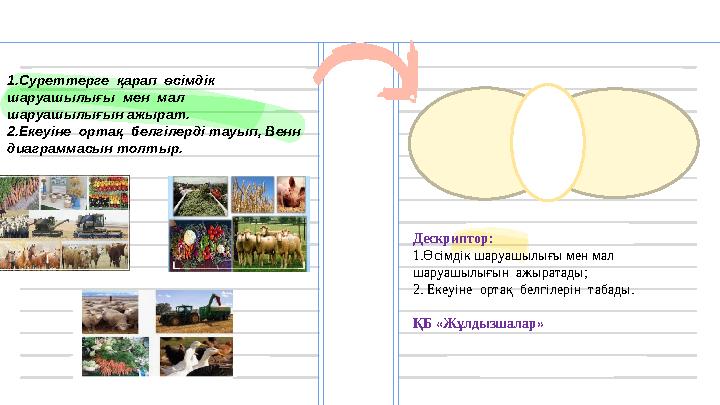 Үй тапсырмасы екеуіне ортақ Үй тапсырмасы екеуіне ортақ