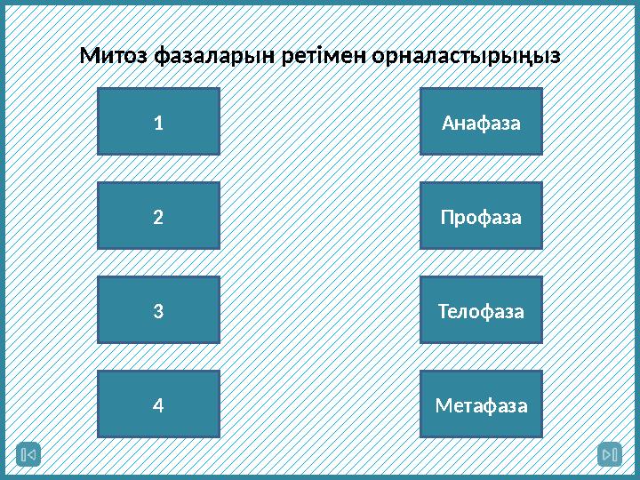 Митоз фазаларын ретімен орналастырыңыз 1 2 3 4 Метафаза Телофаза Профаза Анафаза