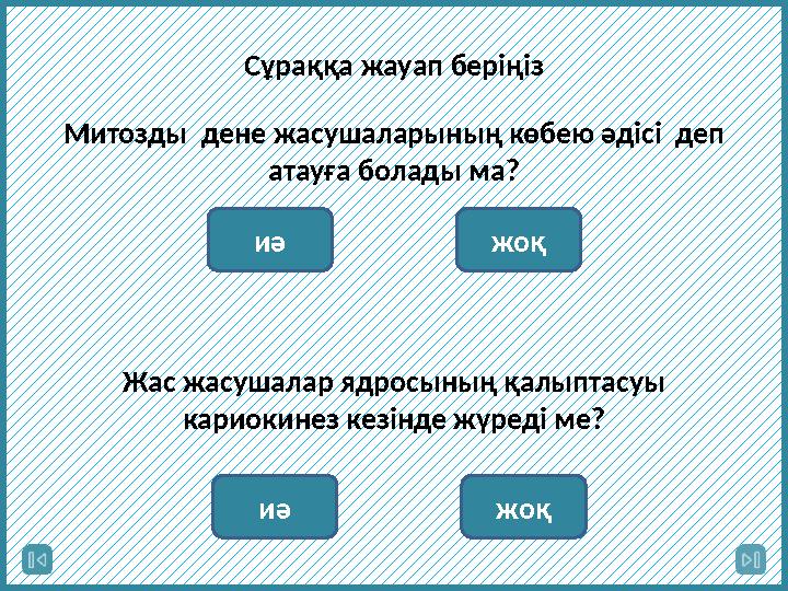 Митозды дене жасушаларының көбею әдісі деп атауға болады ма? иә жоқСұраққа жауап беріңіз Жас жасушалар ядросының қалыптасуы